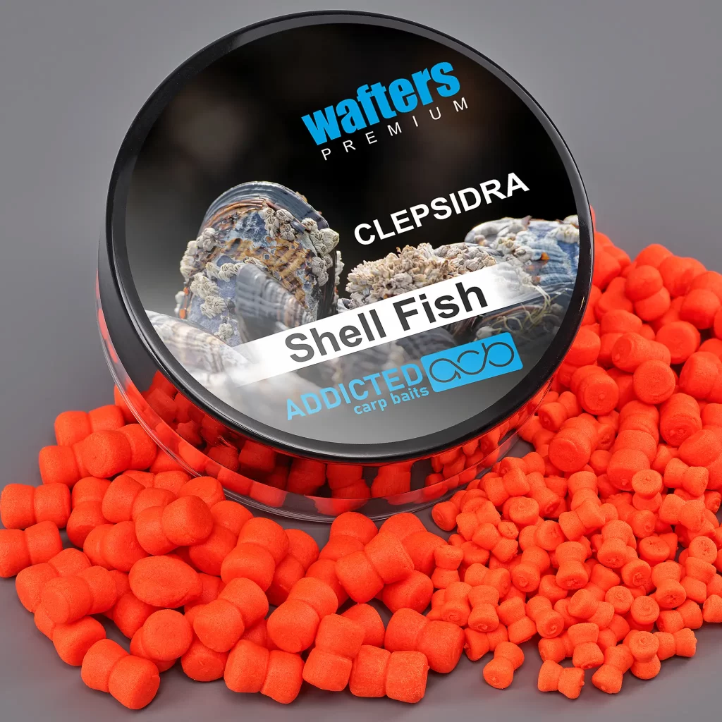 wafters shell fish clepsidra